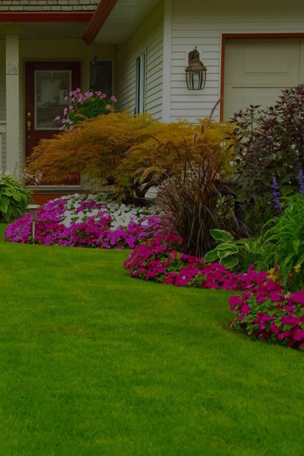 https://www.gillbroslandscapes.com/wp-content/uploads/2024/05/3-600x900.jpg