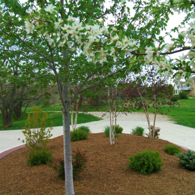 https://www.gillbroslandscapes.com/wp-content/uploads/2024/06/517-N-900-Rd-005_crop-resize-640x640.jpg