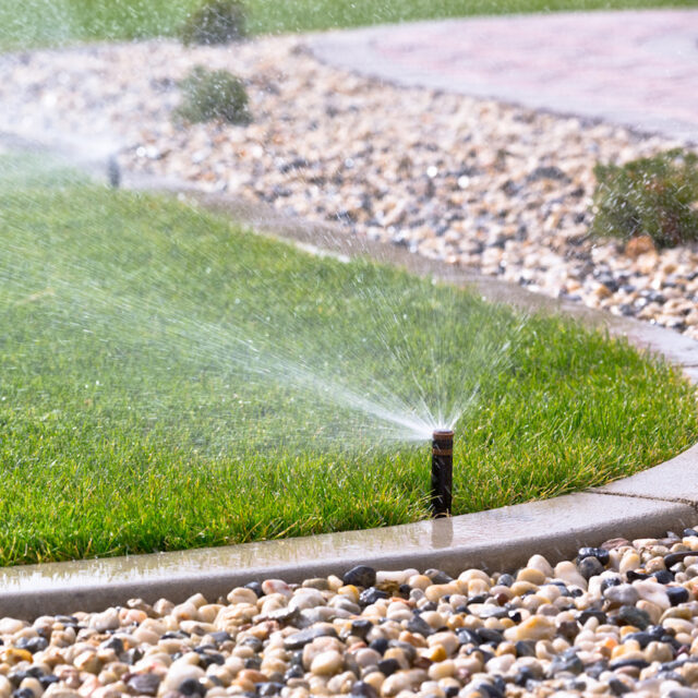 https://www.gillbroslandscapes.com/wp-content/uploads/2024/06/AdobeStock_60687649-640x640.jpeg