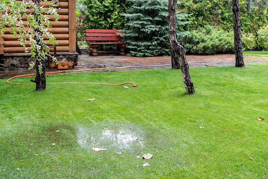 https://www.gillbroslandscapes.com/wp-content/uploads/2024/06/backyard-drainage-issue.jpg