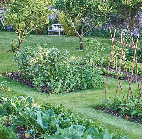https://www.gillbroslandscapes.com/wp-content/uploads/2024/06/fancy-plant.jpg