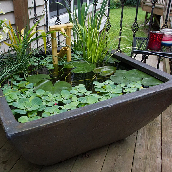 https://www.gillbroslandscapes.com/wp-content/uploads/2024/06/patio-pond5.webp